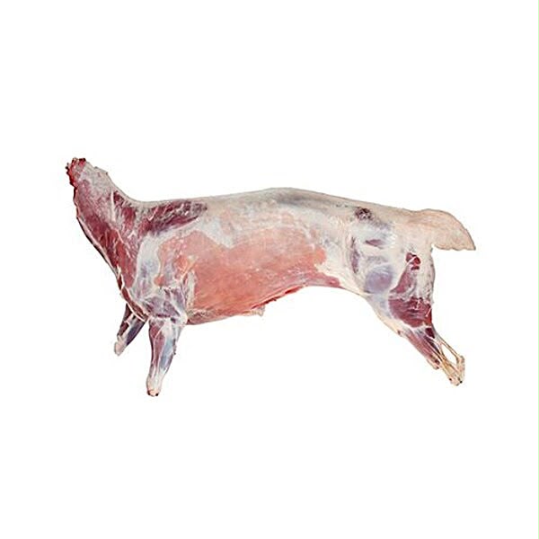 Mutton Carcass
